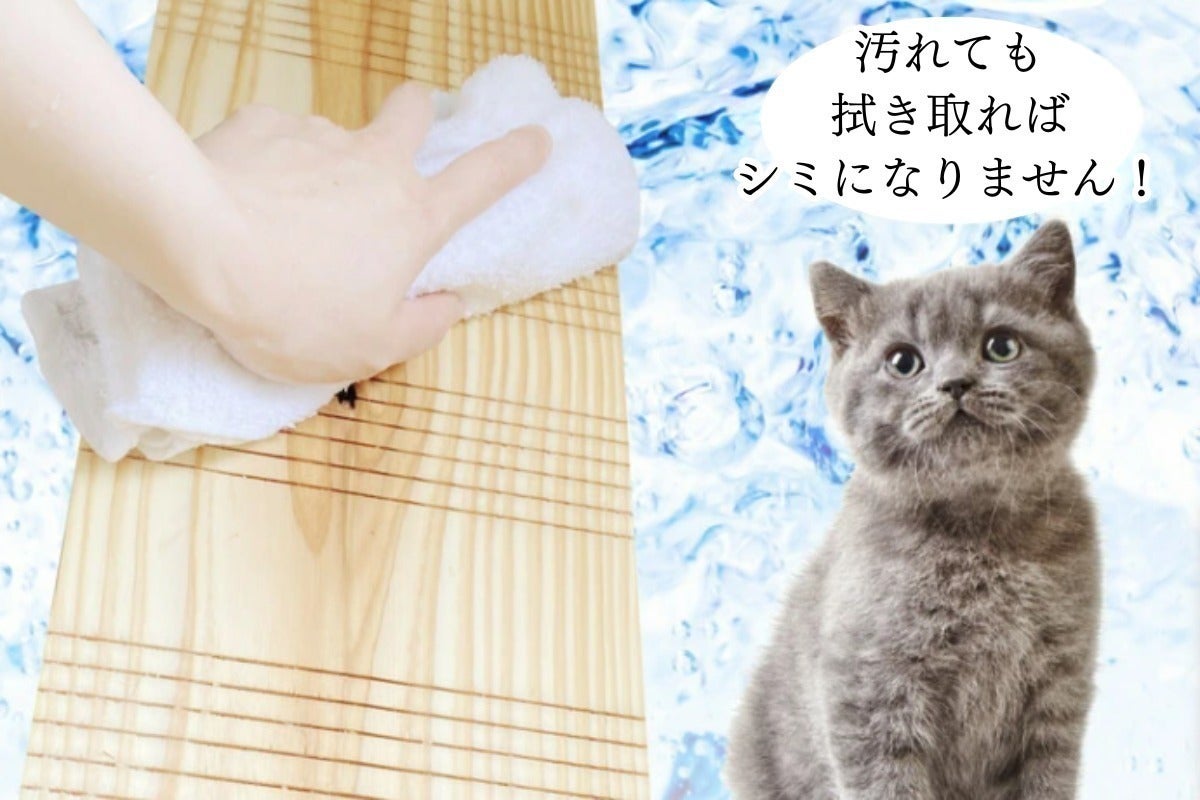 とぎカス極少、耐久性抜群!猫目線で開発した杉の有機乾燥材爪とぎ【組